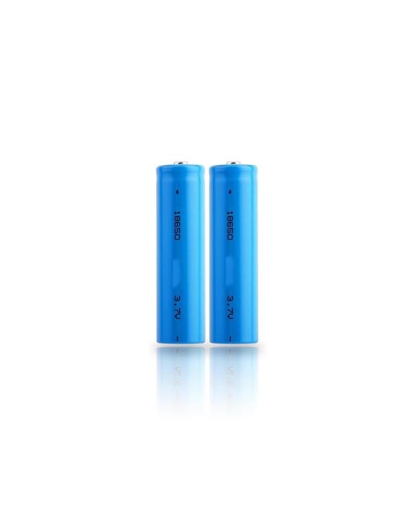 Pack de 2 batteries 3.7V rechargeable lithium-ion type 18650 capacité 3200 mAh basse température